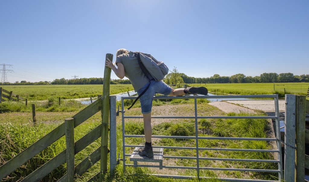 In de coronacrisis konden mensen bijna nergens naartoe, maar in de natuur konden ze wel even bijkomen. (beeld istock / Joop Kleuskens)