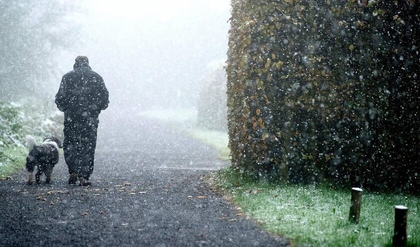 2015-10-14 00:00:00 VAALS - Iemand laat zijn hond uit in de sneeuw bij het Drielandenpunt Vaals. In Limburg is de eerste natte sneeuw van dit seizoen gevallen. ANP MARCEL VAN HOORN ( beeld anp)