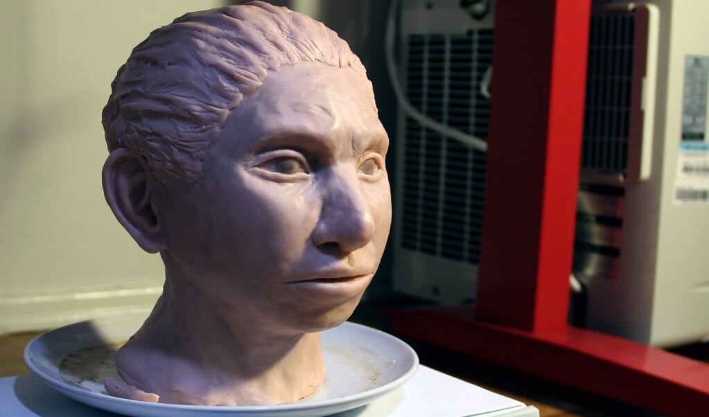 Johannes Krause was een van de ontdekkers van de Denisova-mens. Op basis van het gevonden DNA werd deze 3D-reconstructie gemaakt van het hoofd van een Denisova-vrouw. (beeld epa)
