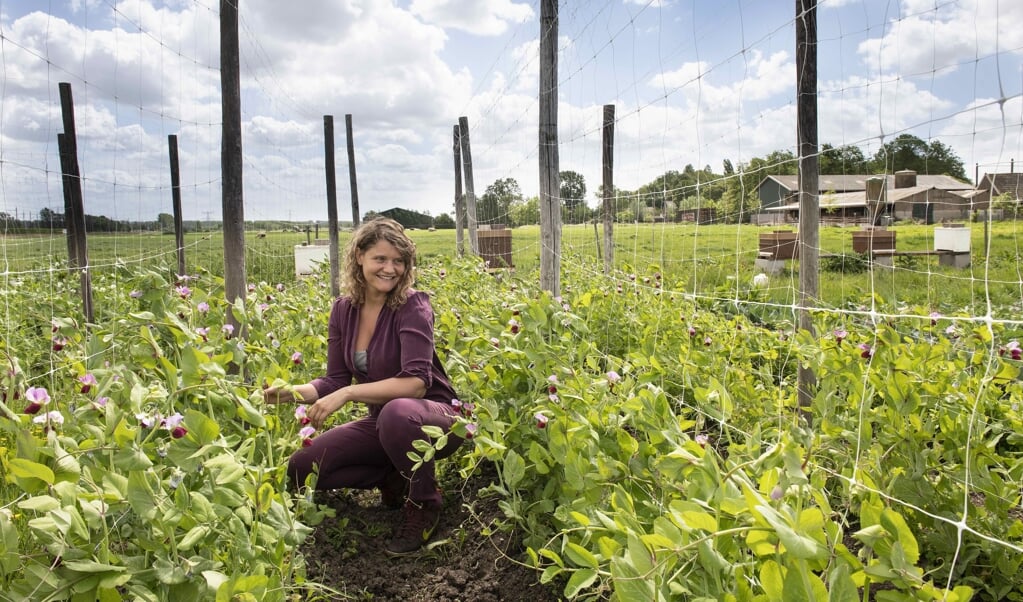 <p>Laura de Grave: ‘Kasgroente en -fruit kun je het beste kopen in perioden dat de kassen niet hoeven te worden verwarmd.'</p> (beeld nd)