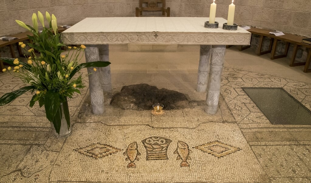 2017-02-12 05:40:01 A picture shows the altar of the Church of the Multiplication of the Loaves and Fish in Tabgha northern of Israel, on February 12, 2017, upon it's reopening following eight months of renovation. The church in northern Israel where Christians believe Jesus performed the miracle of the loaves and fishes reopened on February 12, 20 months after an arson attack by Jewish extremists. Two rooms of the church complex in Tabgha on the Sea of Galilee were vandalised and badly damaged in a June 2015 fire.
JACK GUEZ / AFP (beeld afp / Jack Guez)