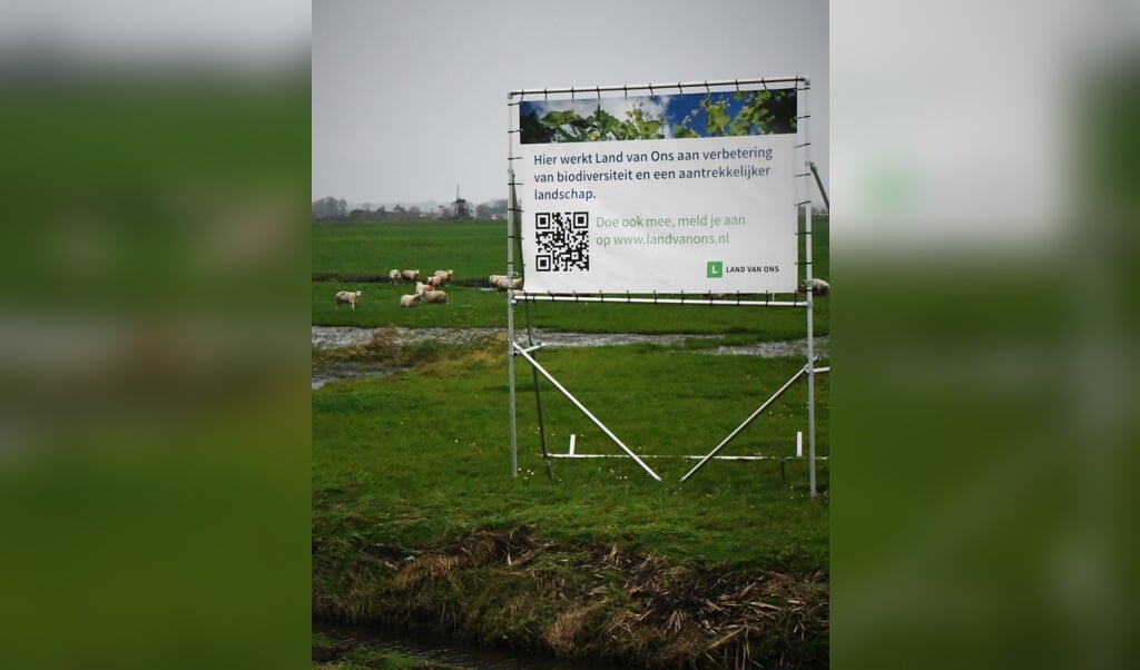 In Oude Ade, bij Leiden, heeft Land van Ons 21 hectare veenweide aangekocht. Een boer wil er blaarkoppen houden, koeien die naast melk ook vlees leveren. (beeld Theo Haerkens)