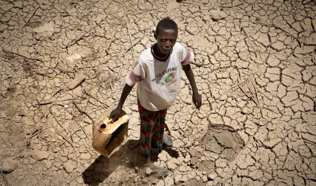 2017-03-14 10:29:19 BALILGUBADLE - In Somalie zijn vele miljoenen mensen ernstig ondervoed door de ernstige droogte. Putten zijn drooggevallen en in het uitgestrekte landschap liggen op veel plaatsen dode dieren. Meer dan de helft van het vee is omgekomen. Families verliezen hierdoor niet alleen hun inkomen, maar ook eten en melk, een belangrijke bron van voedingstoffen. ANP ARIE KIEVIT (beeld anp)