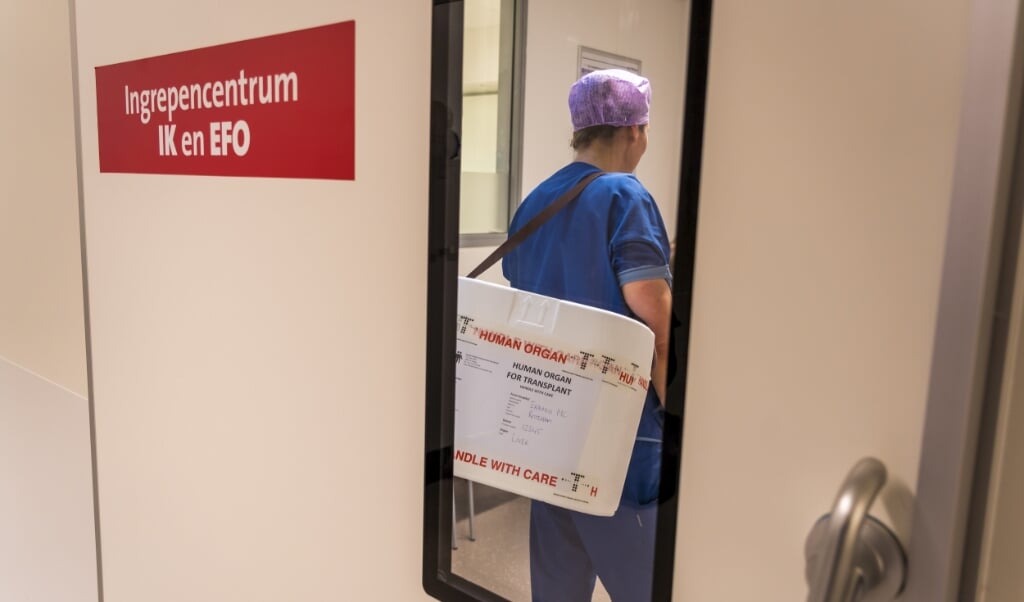 Een orgaan wordt overgedragen aan OK-assistenten van het Erasmus MC. Sinds 1 juni 2020 moet iedere Nederlander vanaf 18 jaar zijn keuze over orgaandonatie vastleggen. Wie nog niet is geregistreerd, krijgt een brief met het verzoek om dat te doen en zo nodig nog een herinnering. Als niets wordt ingevuld, wordt in het Donorregister genoteerd ’geen bezwaar’. (beeld anp / lex van Lieshout)