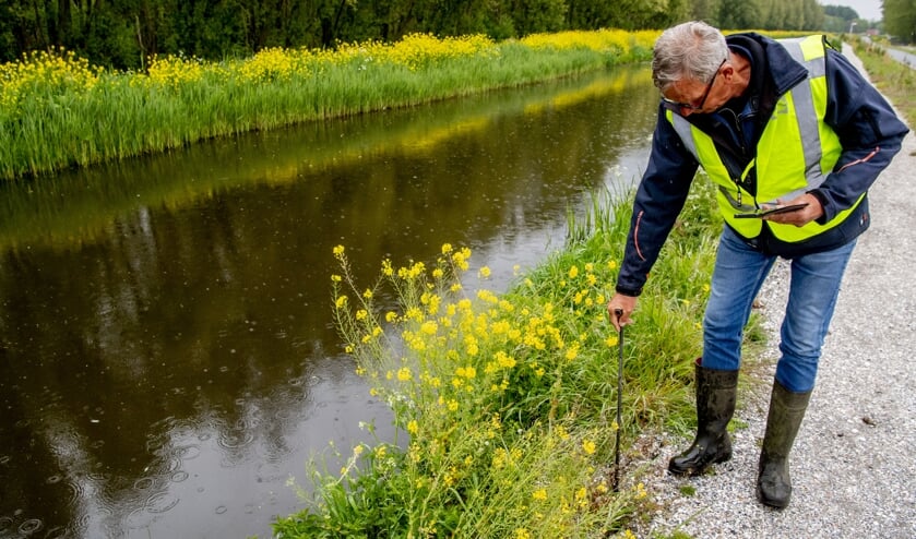 Het hoogheemraadschap van Delfland inspecteert veendijken. Die kunnen door de droogte sneller krimpen en barsten. (beeld anp / Robin Utrecht)
