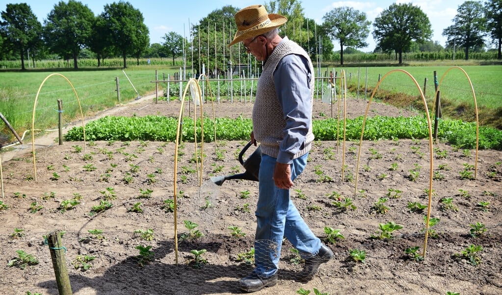 Moestuinen in het Brabantse Helvoirt. Zonder gieteren groeit er weinig. (beeld Marcel van den Bergh)