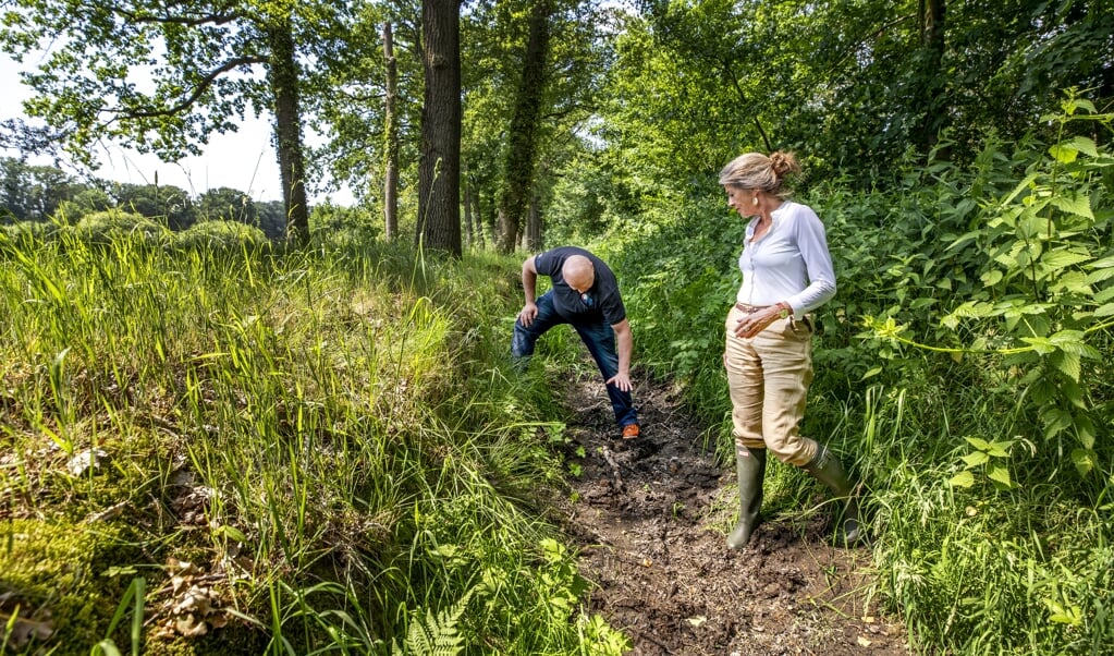 Op Landgoed Voorstonden laat de gebiedsbeheerder aan dijkgraaf Vallei en Veluwe, Tanja Klip, zien hoe hoog het water in de beek hoort te staan. (beeld Raymond Rutting)
