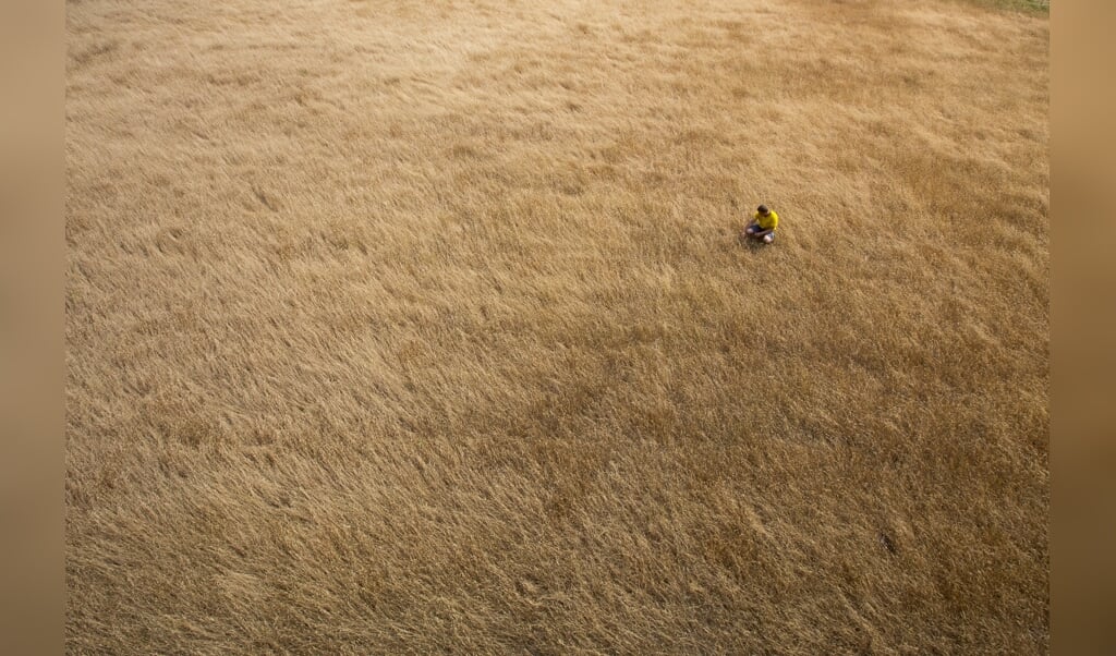 Akkerbouwer Martijn Vorkink bekijkt perceel met verdroogd gras. De landbouw heeft door een neerslagtekort te kampen met droogte. (beeld anp / Vincent Jannink)