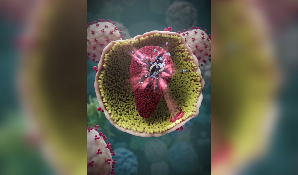 Illustratie van een opengewerkt hiv-virusdeeltje. In rood het eiwit dat door binding met het nieuwe geneesmiddel (blauw) ervoor zorgt dat de manteleiwitten hun werk niet goed kunnen doen. (beeld random42)