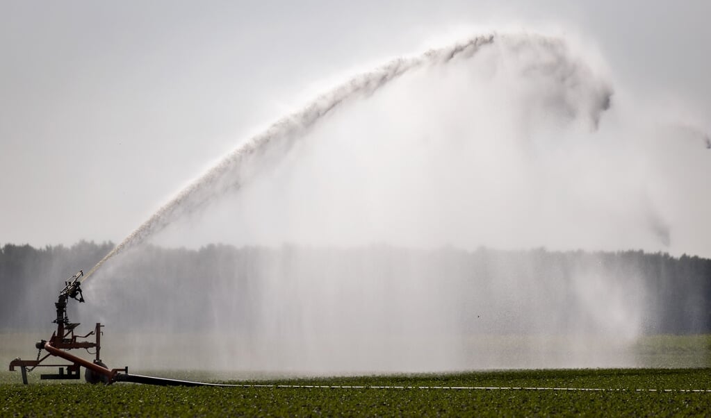 Landbouwgrond wordt beregend. In een aantal gebieden geldt vanwege de droogte een sproeiverbod. (beeld anp / Koen van Weel)