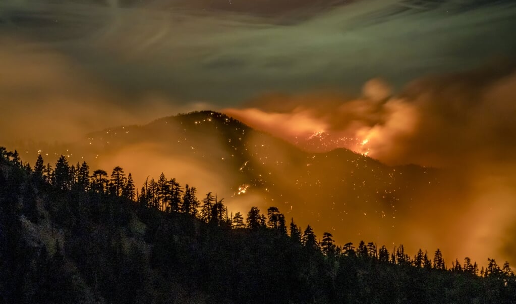 <p>In de heuvels rond Los Angeles woedden momenteel hevige bosbranden. Volgens Eric Holthaus komen door de klimaatverandering overal ter wereld vaker natuurrampen voor als bosbranden, orkanen en overstromingen.</p> (beeld afp / Kyle Grillot )