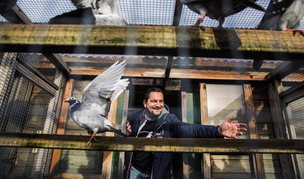 Frederik Leliaert van Pigeon Paradise. ‘Duiven zijn, net als bonbons en frieten, een echt Belgisch product omdat de sport hier al van oudsher wordt bedreven.’ (beeld Aurélie Geurts)