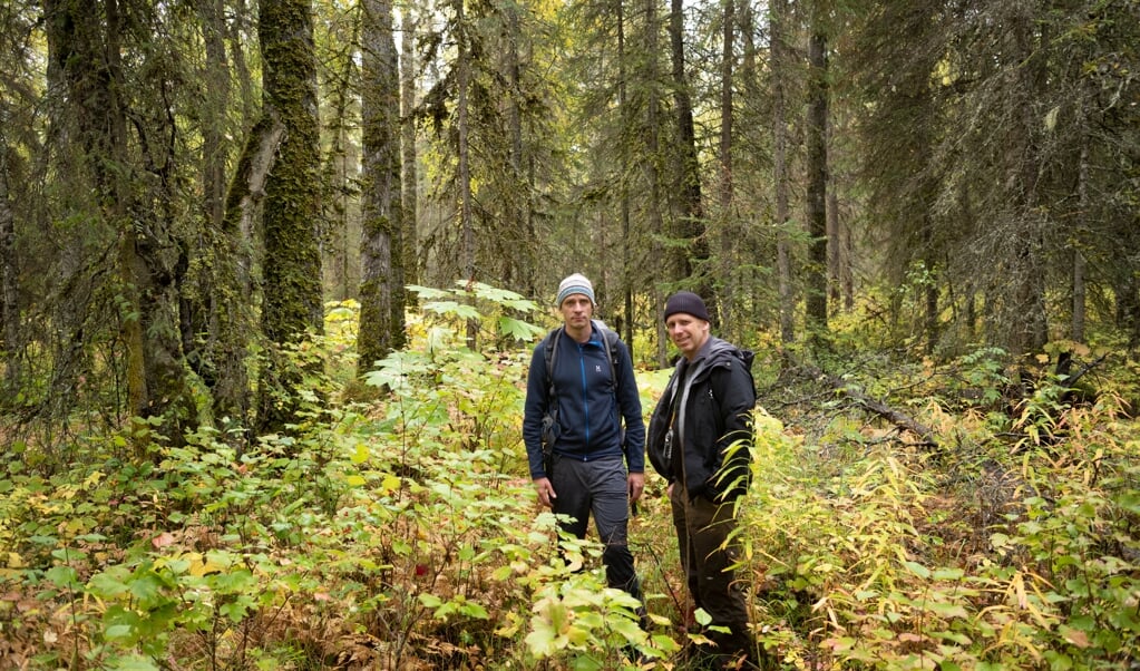 Het Kenai Fjords National Park in Alaska, september 2019. Links Jelle Brandt Corstius, rechts Jeroen Toirkens. (beeld Jeroen Toirkens)
