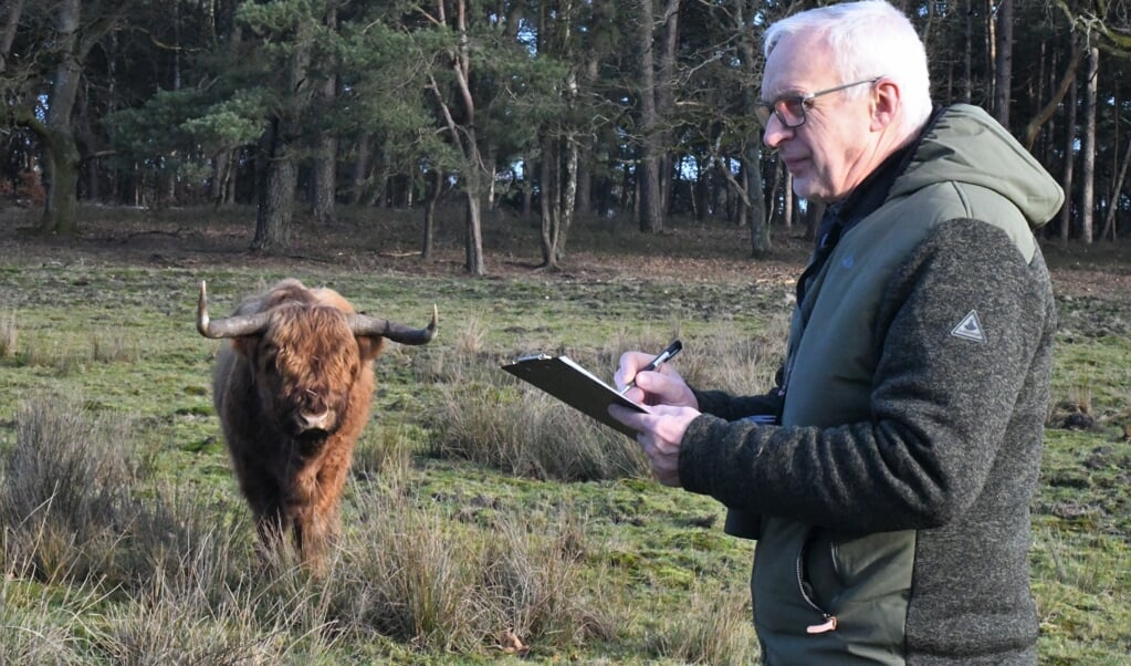Wildlife-dierenarts Henk Luten inspecteert de gezondheid van de Schotse hooglanders van Natuurmonumenten. (beeld nd)
