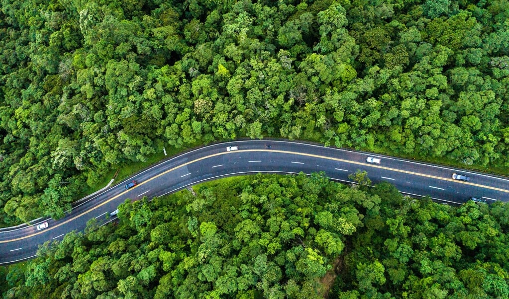 En ja, inderdaad sneuvelen er wat bomen. Zoals ook bij ons nagenoeg alles in cultuur gebracht is; en er om die reden enorm veel bomen gekapt zijn. We deden dat om dezelfde redenen als dat nu de Brazilianen hun land ontwikkelen. (beeld FG Trade)