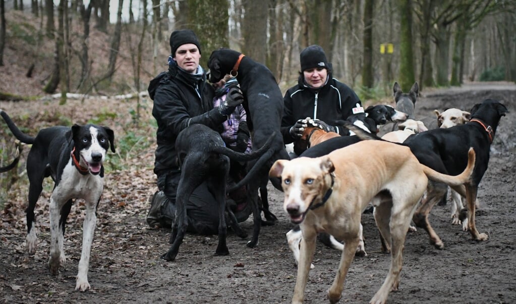 Stefan en Ilse Donker missen door corona het wedstrijdseizoen met hun sledehonden. (beeld Theo Haerkens)