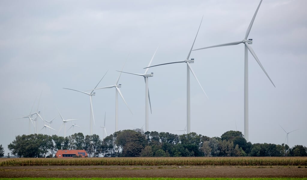 Windpark in de Noord-Hollandse Wieringermeer. Het park telt 99 windmolens. (beeld anp / Robin van Lonkhuijsen)