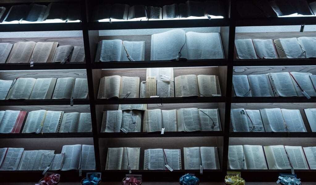 Een brede selectie bijbels in allerlei talen, waaronder braille, in de dorpskerk van O Cebreiro, in het noordwesten van Spanje. De kerk ligt aan de pelgrimsroute naar Santiago de Compostella. (beeld istock)