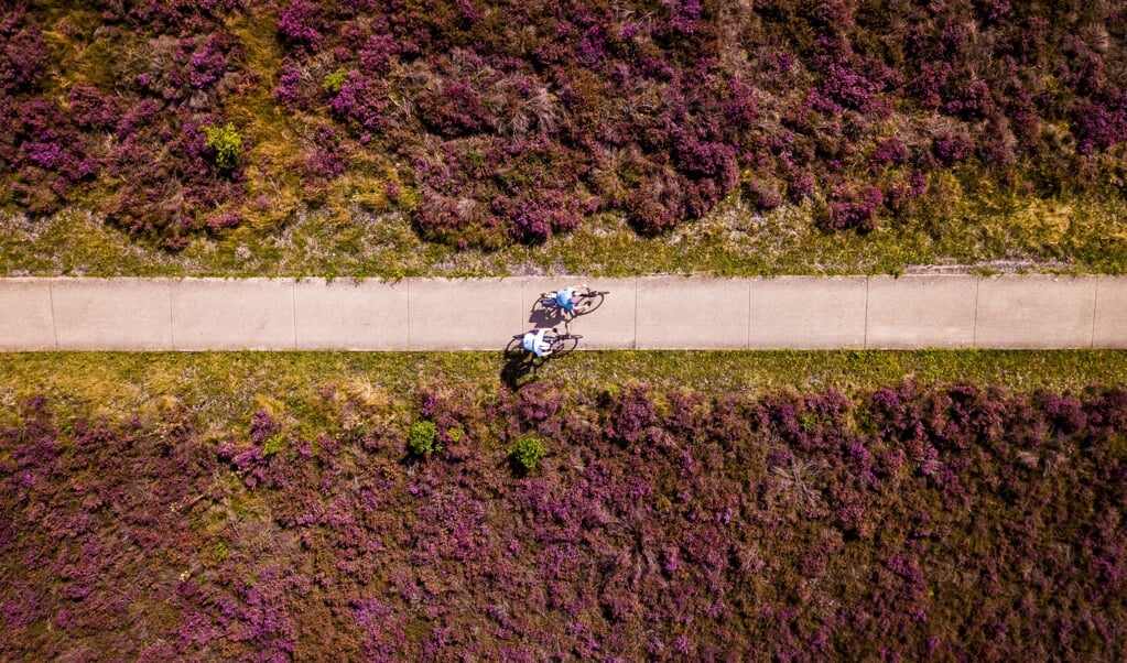'De Veluwe is een aantrekkelijke plek vanwege rust en groen. Daarnaast zien we met name vijftigers en zestigers wegtrekken uit de Randstad naar het buitengebied.' (beeld anp / Sem van der Wal)