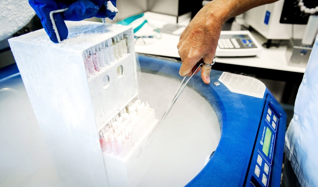 Een embryo kan zich alleen ontwikkelen in relatie met het lichaam van de moeder. Maar of menselijk leven begint bij de bevruchting is vraag. Op de foto: ingevroren eicellen bij Medisch Centrum Kinderwens. (beeld anp / Koen van Weel)