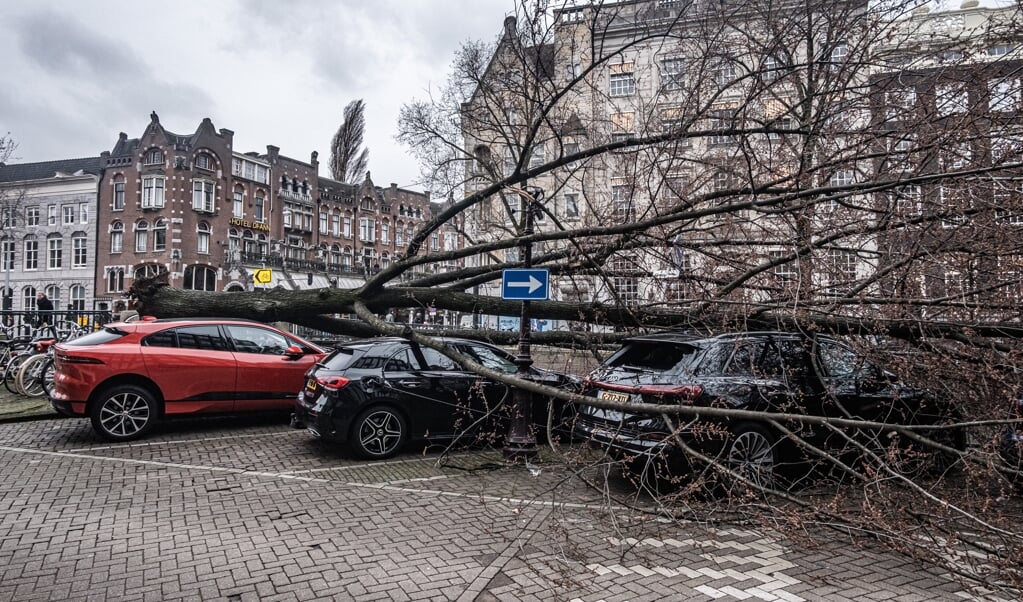 Een grote boom is boven op een aantal geparkeerde auto's gevallen tijdens de eerste storm van 2021. (beeld anp / Joris van Gennip)