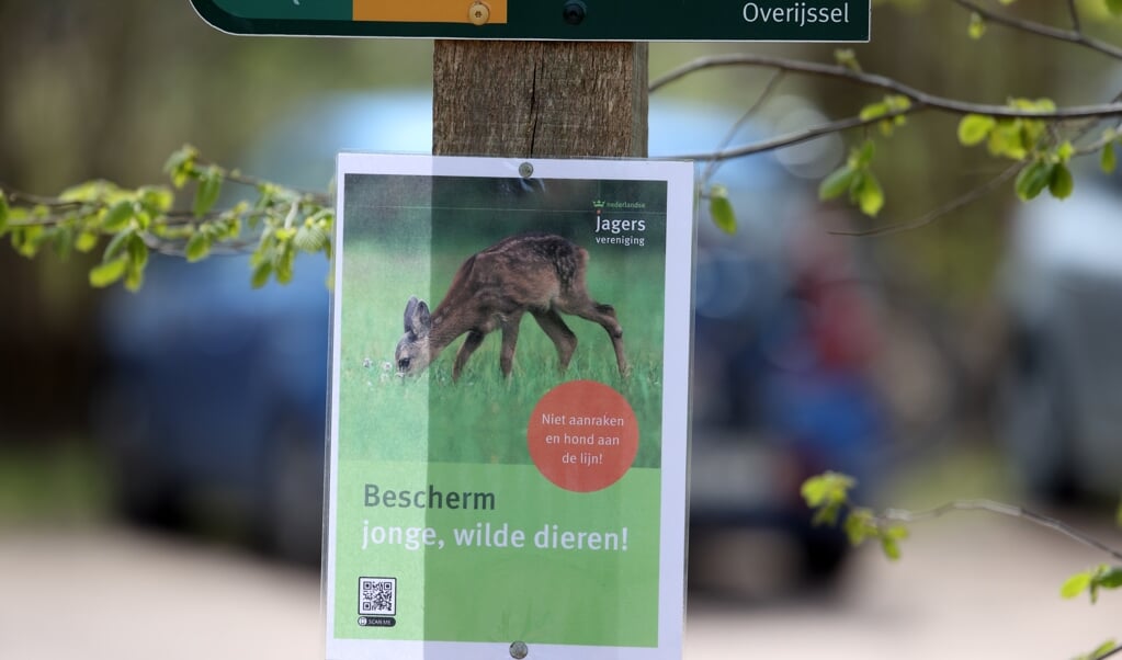 Moeten wasberen, roofvogels, steenmarters, boommarters, vossen en dassen worden afgeschoten? bord bij Oud-Avereest (Overijssel) (beeld Ronald Wilfred Jansen)