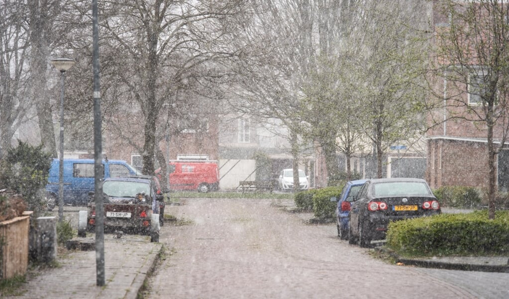 Een straat kleurt wit in een woonwijk in Sappemeer. 'Aprilletje zoet, heeft nog wel eens een witte hoed', aldus weerman Reinier van den Berg. (beeld anp / Venema Media)