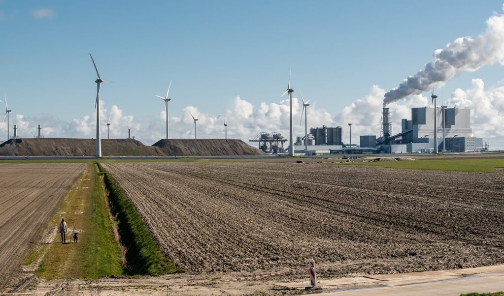 Een bewoonster van Oudeschip laat haar hond uit op een van de stukken bouwland die in de toekomst een industriële bestemming krijgen. (beeld Harry Cock)