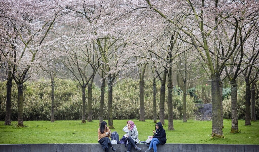 Jongeren in het Bloesempark in het Amsterdamse Bos. Het aantal werkende jongeren lag in februari nog altijd 5 procent lager dan bij de uitbraak van corona in maart vorig jaar. (beeld anp / Ramon van Flymen)