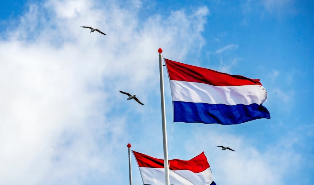 Nederland, Noordwijk aan Zee, 13-04-2021
Meeuwen vliegen onder een blauwe hemel over wapperende rood-wit-blauwe vlaggen op de boulevard van de badplaats Noordwijk aan Zee. De frisse zeelucht geeft je een gevoel van vrijheid.
Foto ; ANP/Hollandse Hoogte/Pim Ras (beeld anp / Pim Ras)