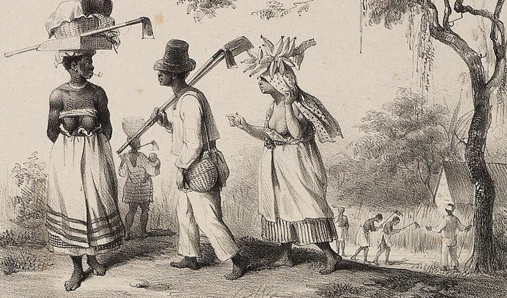Slaven in Suriname op weg naar het veld om te gaan werken. Tekening van P.J. Benoît, 1839. (beeld P.J. Benoît)