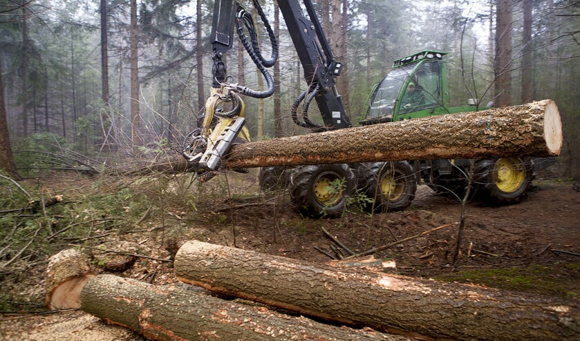 Staatsbosbeheer gebruikt ‘harvesters’ voor bomenkap. Dit zijn velmachines die gemechaniseerd bomen kappen en de stammen ervan bewerken. (staatsbosbeheer)