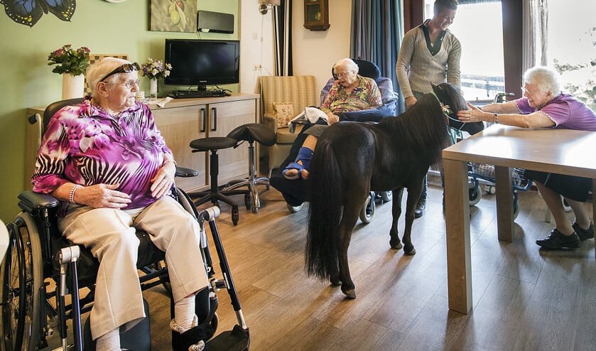 In een zorgcentrum in Deventer wordt een therapiepaardje ingezet voor dementerende ouderen. In de meeste verpleeghuizen voldoet de zorg nu aan de eisen. (anp / Piroschka van der Wouw)