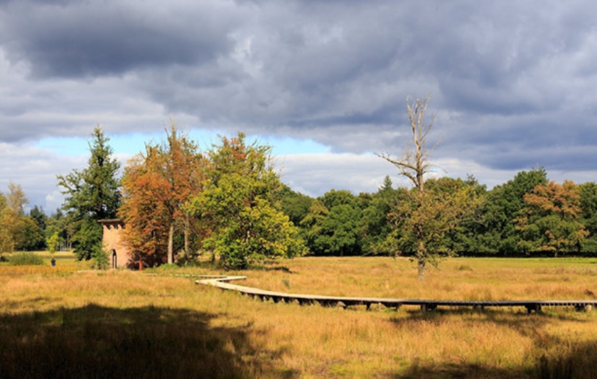 Het Pomphuisje op de Hoge Veluwe, een ontwerp van Henry van de Velde, dat een nieuwe functie als uitkijktoren heeft gekregen.