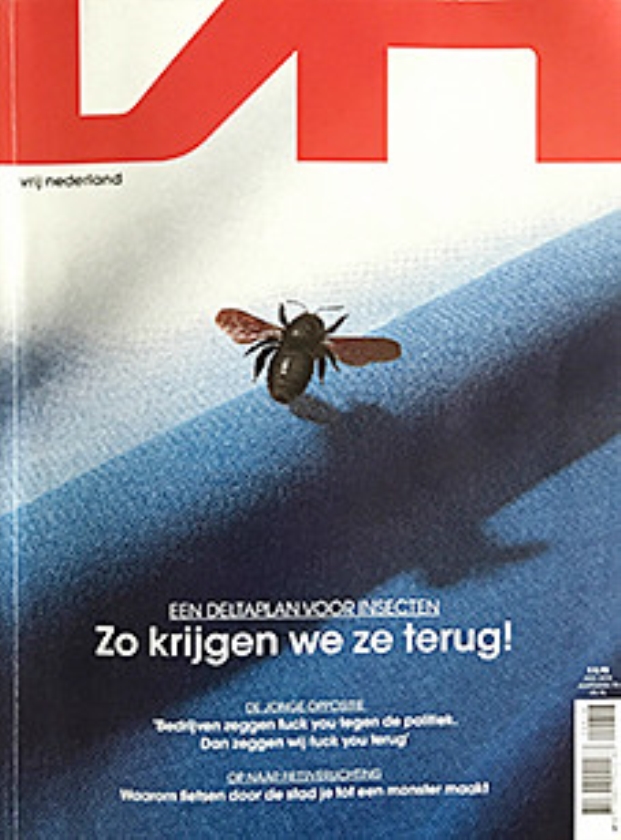 Blogs en bladen: fluisterende artsen