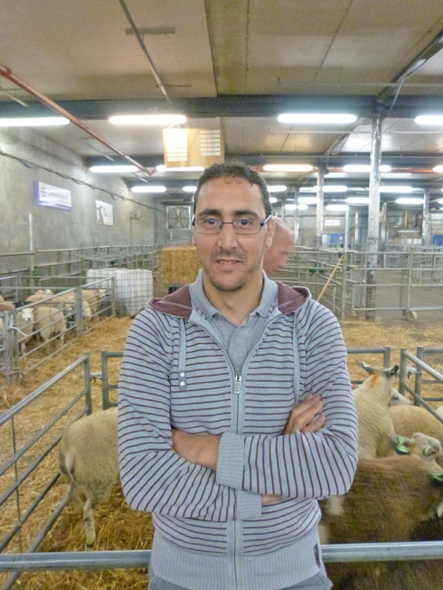 Abdoul Mansouri oriënteert zich op de schapenprijs. (nd)