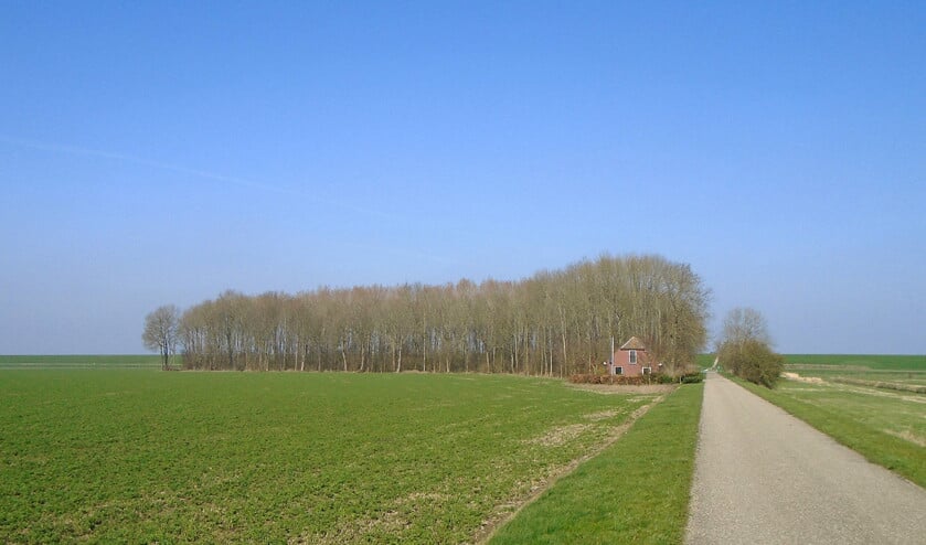 Het Ambonezenbosje aan de dijk bij de Dollard, achter Finsterwolde. Na de oorlog lag er een kamp waarin eerst NSB’ers en later Zuid-Molukkers zaten. (nd)