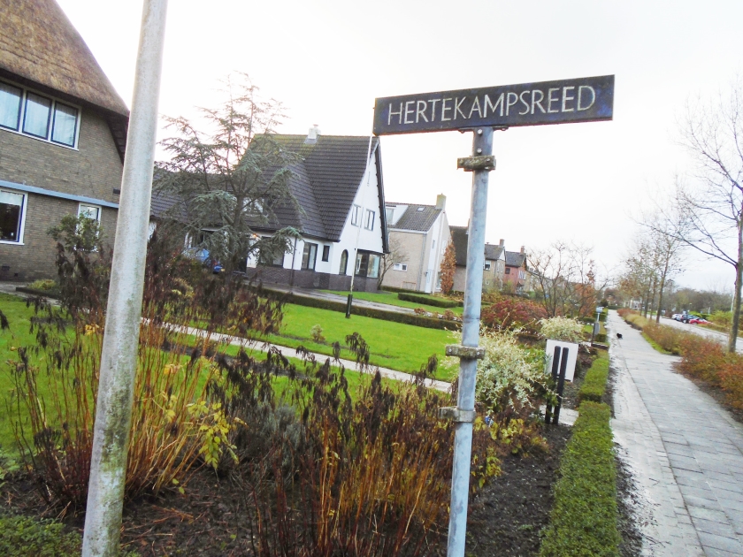 Het voormalige kaatsterrein in Witmarsum – nu een woonwijk – waar ouderling Okma meedeed aan werelds vertier. (nd)