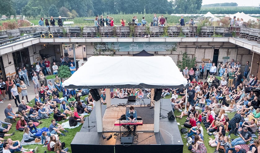 Relaxmuziek in de boomgaard: de Fruittuin van West in Amsterdam was zaterdag het toneel van The Brave, volgens de organisatie het ‘enige Nederlandse buitenfestival voor singer-songwriters’. Vier podia stonden opgesteld tussen diverse fruitbomen, waarvan – van gemarkeerde bomen – ook fruit geplukt mocht worden, en waar tientallen kippen vrij rondliepen (Niek Stam)