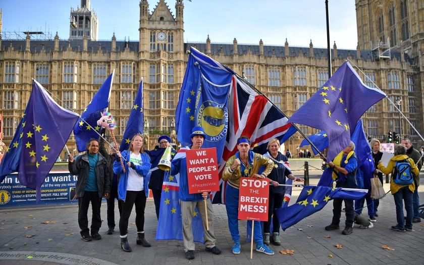 Tegenstanders van de brexit demonstreren in Londen. Er wordt steeds meer druk uitgeoefend op Theresa May om een nieuw brexitreferendum te overwegen, ook tijdens het wekelijkse vragenuurtje van woensdag. De Britse premier herinnerde de vragenstellers eraan dat er in 2016 reeds een referendum over het Britse lidmaatschap is geweest. (afp / Ben Stansall)