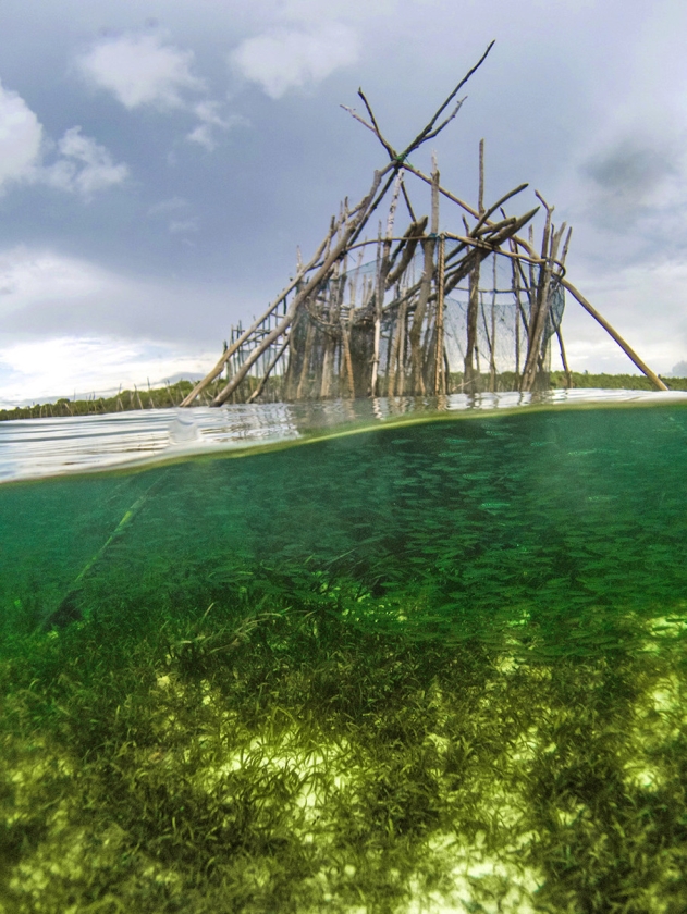 De manier waarop traditionele vissers in Indonesië de laatste jaren werken, zorgt voor overbevissing en schade aan de kust. Dat concluderen Britse onderzoekers in Nature Communications na analyse van de vismethoden op het eiland Kaledupa, ten zuidoosten van Sulawesi (Benjamin Jones)