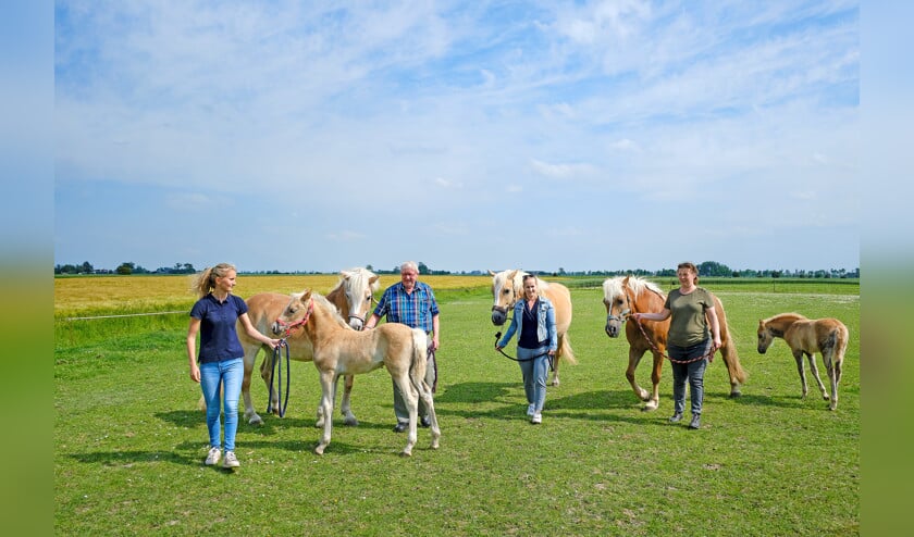 V.l.n.r.: Drie generaties houden zich bezig met paarden: Kleindochter Evelien, opa Fokko en dochters Karin en Anette. (Dick Vos)