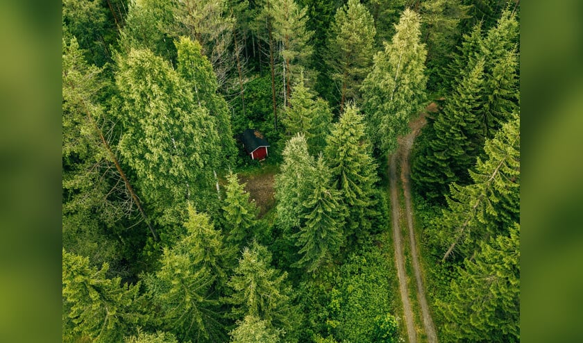 Walden bevat een prachtige beschrijving van het tweejarige verblijf van de schrijver Henry David Thoreau in een eenvoudige hut. (istock)