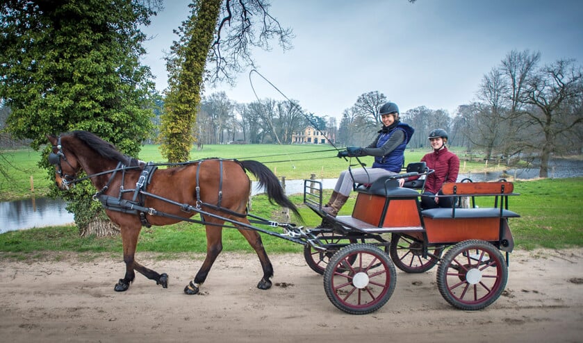 Moeder en dochter steken dagelijks uren in paardensport: 'Het welzijn van het dier staat voorop' (Carel Schutte)