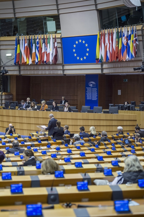 De plenaire zaal van het Europees Parlement in Brussel. (anp / Jonas Roosens)