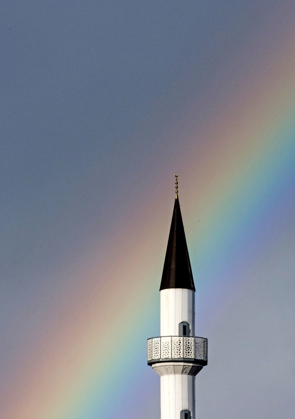 Hoe begrijpelijk de frustratie van ex-moslims ook is, het stelt tegelijkertijd de autoriteit waarmee ze spreken ter discussie. Ze hebben dan wel kennis van binnenuit, maar hun beeld van de islam is sterk bepaald door hun negatieve persoonlijke ervaringen, wat niet echt een objectieve analyse oplevert. (ap)