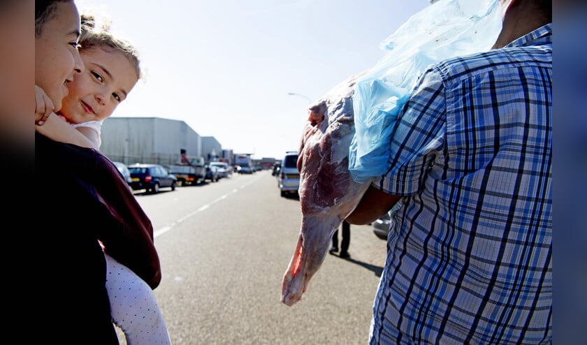 Er is geen enkele religieuze plicht tot het slachten van dieren, laat staan tot het onverdoofd slachten van dieren. (anp / Robin Utrecht)