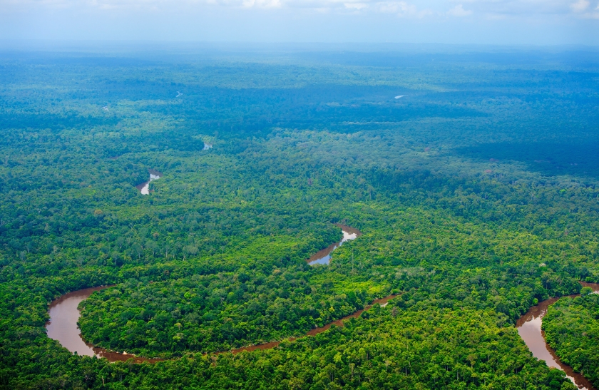 Uitgestrekte bossen op Borneo. Wetenschappers zijn het erover eens dat herbebossing en bosbescherming heel belangrijk kunnen zijn voor het klimaat. (anp / Robin Utrecht)