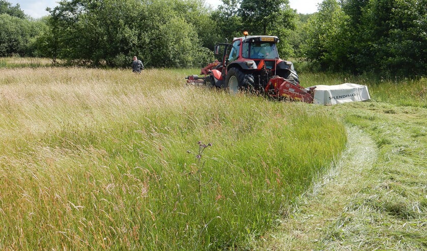Op dit grasland wordt ecologisch gemaaid: er worden slingerende maaipaden gemaakt. Zo kun je ook bermen maaien. (Anthonie Stip)