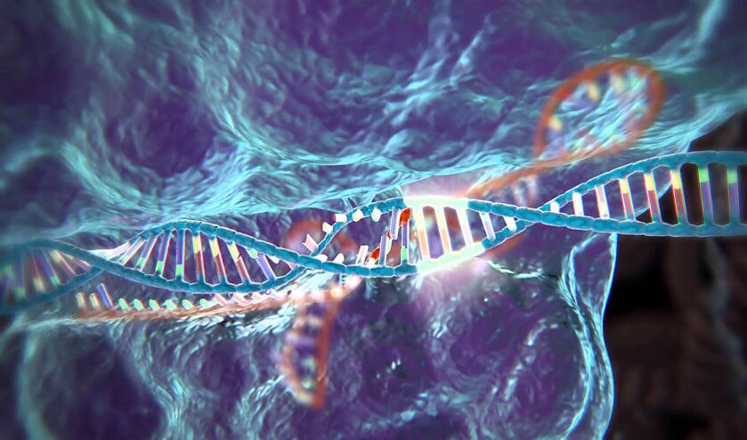 Crispr/Cas9 zorgt voor een doorbraak in de gentechnologie. In plaats van maanden werk dat tienduizenden euro’s kost, is er in micro-organismen voor een paar honderd euro in een week tijd al resultaat te boeken. (Youtube)